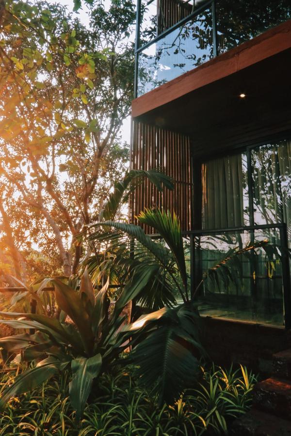 Amazonika Boutique Resort Arpora Eksteriør billede