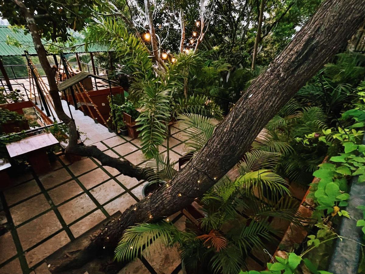 Amazonika Boutique Resort Arpora Eksteriør billede